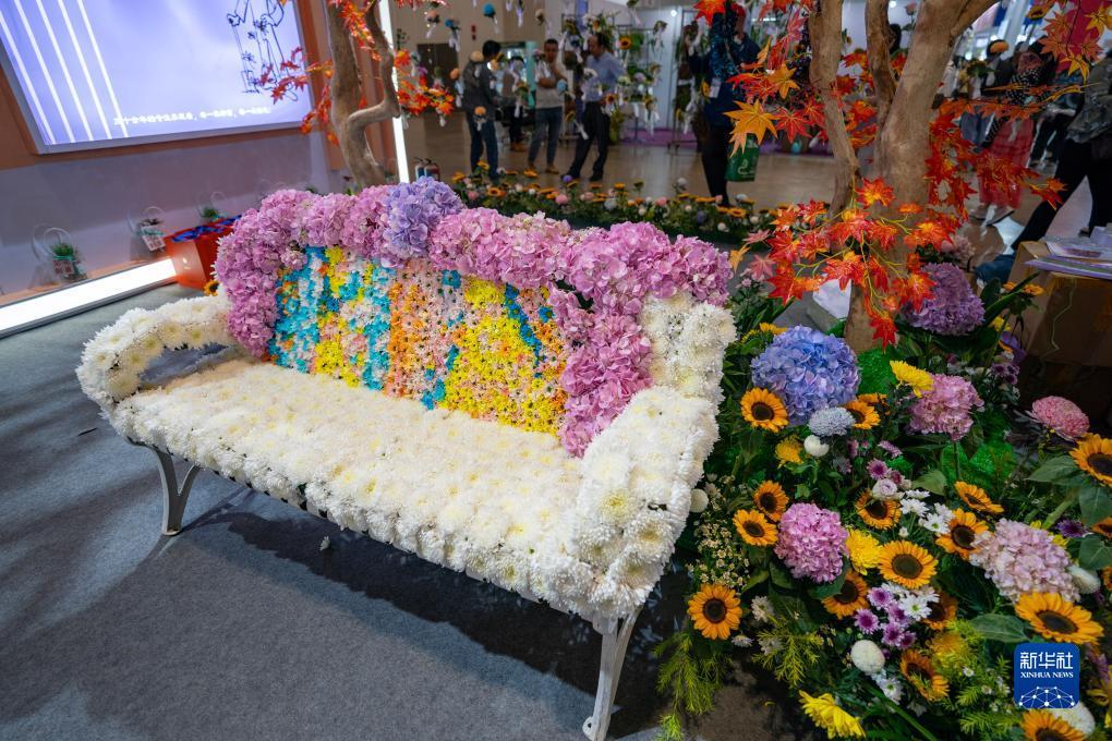 金沙app@